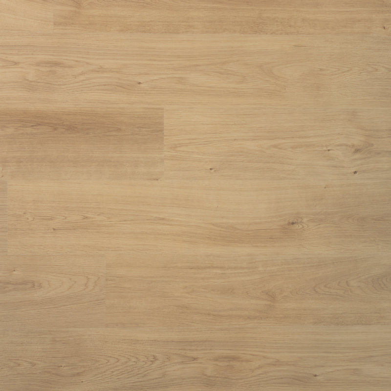 Laminaat DD Plank Nootmuskaat - 19,2 cm, vlak